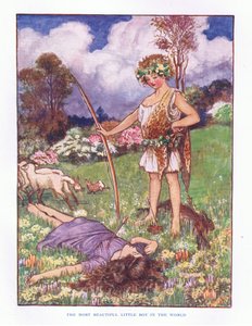 Dünyanın en güzel küçük çocuğu, Lady And Fairy Tales