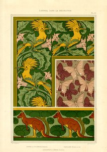 Egzotik Hayvan Motifleri: Kakadular, Kelebekler ve Kangurular (lito) by Maurice Pillard Verneuil