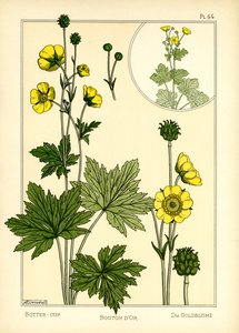 Buttercup (renkli taş) by Maurice Pillard Verneuil
