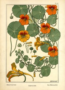 Nasturtium (renkli taş)