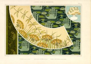 Yusufçuklar, Çiçekler ve Kuğularla Su Dünyaları (lito) by Maurice Pillard Verneuil