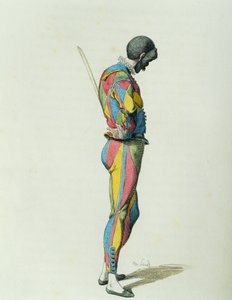Harlequin, 1858