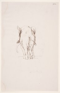 "Weg der Befleckung" - "Fil ve koklayan köpek" by Max Klinger
