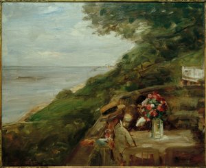 Elbblick - Elbe