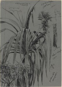 Madagaskar