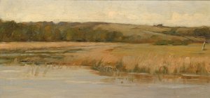 Hill ve Marshland, 19. yüzyılın sonları ve 20. yüzyılın başlarında.