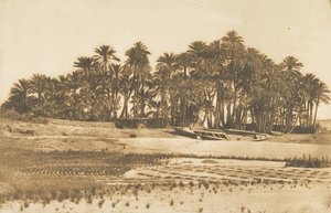 Aswan