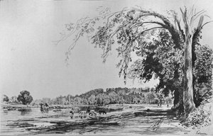 Thames Nehri