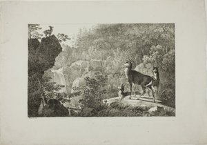 Geyik ve Chamois by Maximilian Josef Wagenbauer