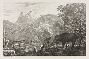 Yaban Domuzu, Yaban Kedisi ve Vaşak by Maximilian Josef Wagenbauer