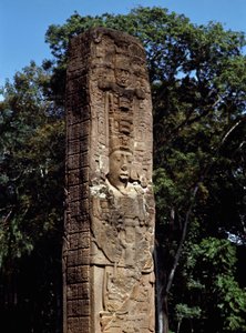 Büyük meydandaki E stelinden detay by Mayan