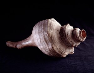 Kolomb öncesi sanat, Maya uygarlığı, klasik dönem: müzik aleti (trompet) olarak kullanılan deniz kabuğu. Uaxactun, Guatemala