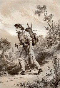 Serserideki kazıcı, Avustralya, 1879.