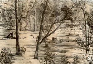 Serbest seçici kulübesi, Avustralya, 1879
