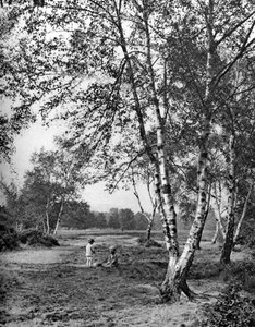 Putney Heath, Londra, 1926-1927 by McLeish