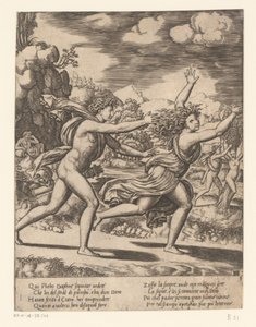 Apollo, Daphne