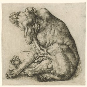 tırmalamak köpek by Meester van het Amsterdamse Kabinet