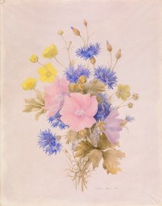 Tarla çiçekleri by Melanie Marc