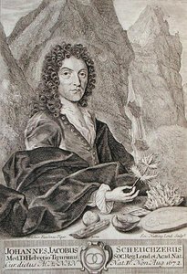 Johann Jacob Scheuchzeri