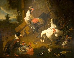Tavuk ve Üç Ördek ile Bir Horoz by Melchior de (studio of) Hondecoeter