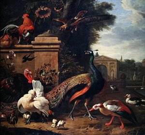 Bir Parkta Tavus Kuşu, Bir Şahin ve Çeşitli Tavuklar ve Ördekler (tuval üzerine yağlı boya) by Melchior de Hondecoeter