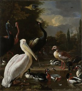 Bir Pelikan ve Havuzun Yanındaki Diğer Kuşlar, "Yüzen Tüy" Olarak Bilinir, 1680 dolayları