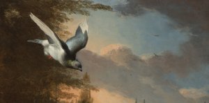 Menagerie