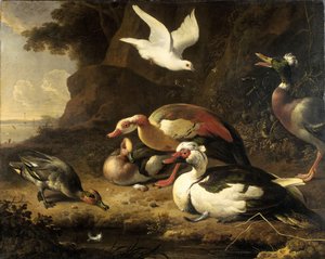 Ördekler by Melchior de Hondecoeter