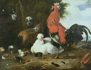 Güvercinler ile çiftlik tavukları by Melchior de Hondecoeter