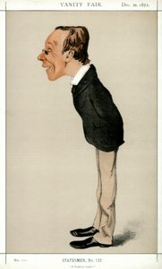 Radikal Bir Lider, Henry Fawcett MP, İngiliz politikacı ve ekonomist, 1872.