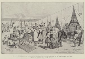 Johannesburg'da Dinamit Patlaması, Evsizler ve Yaralılar, Tarımsal Gösteri Alanında Korundu by Melton Prior