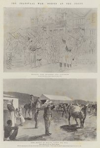 Transvaal Savaşı, Cephedeki Sahneler