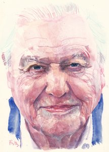 Sir David Attenborough (sulu boya)