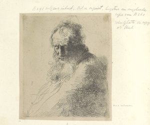 Bust van een oude adam bir araya geldi baard Seksen beş orijinal baskının toplanması (seri başlığı) by Michael Willmann (attributed to)