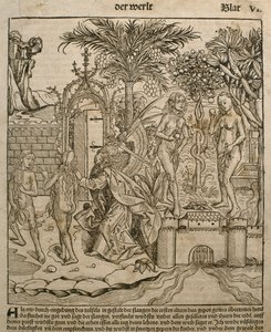 Adem ve Havva, Hartmann Schedel (1440-1514) tarafından Nürnberg