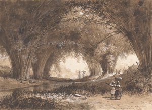 Bambu Kemerler, St. Anns