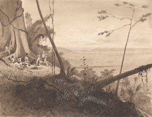 Cedar Point, Tamana Dağı by Michel Jean Cazabon
