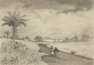 Pitch Gölü'ne Giden Yol by Michel Jean Cazabon