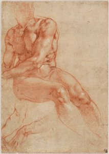  by Michelangelo