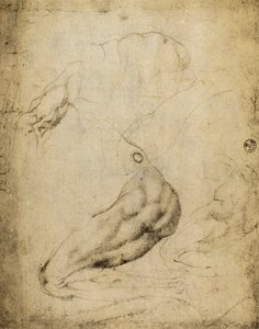 Anatomik çalışma: Michelangelo