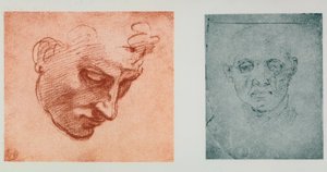 Bir yüzün önden görünümü ve bir profilden; Michelangelo
