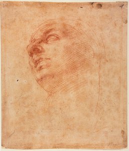 Sistine Jonah için baş çalışma by Michelangelo Buonarroti