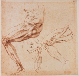Bacak çalışmaları by Michelangelo Buonarroti