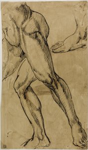 Çıplak Erkek Bacakları ve Ayakları by Michelangelo Buonarroti