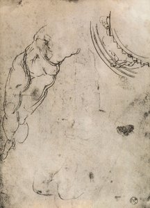 Erkek bacaklar, Michelangelo