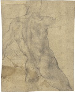 erkek çıplak by Michelangelo Buonarroti