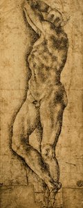 erkek çıplak; Michelangelo