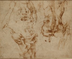 Çıplak Çalışmalar, c1490-1560 by Michelangelo Buonarroti