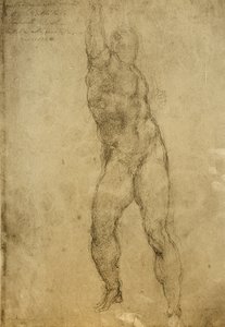 Çıplak çalışma, Michelangelo