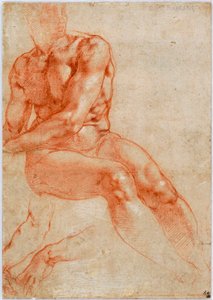 Oturan Genç Erkek Çıplak ve İki Kol Çalışmaları, yaklaşık 1510-1511 by Michelangelo Buonarroti